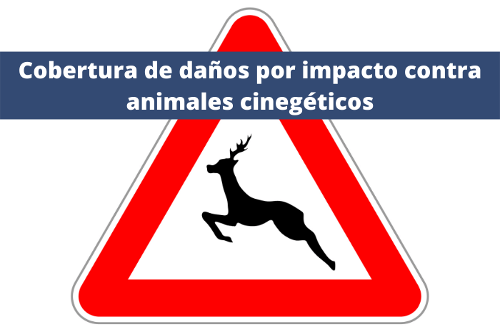 Cobertura de daños por impacto contra animales cinegéticos