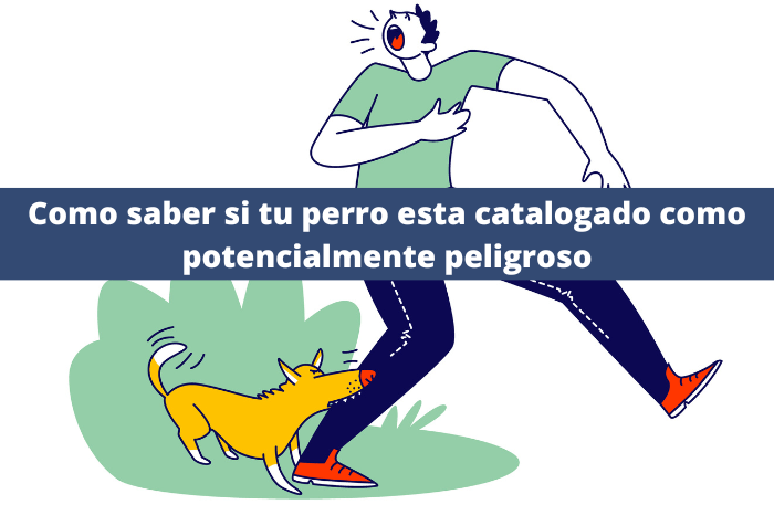 Como saber si tu perro esta catalogado como potencialmente peligroso