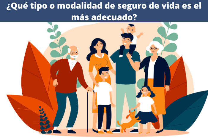 ¿Qué tipo o modalidad de seguro de vida es el más adecuado?