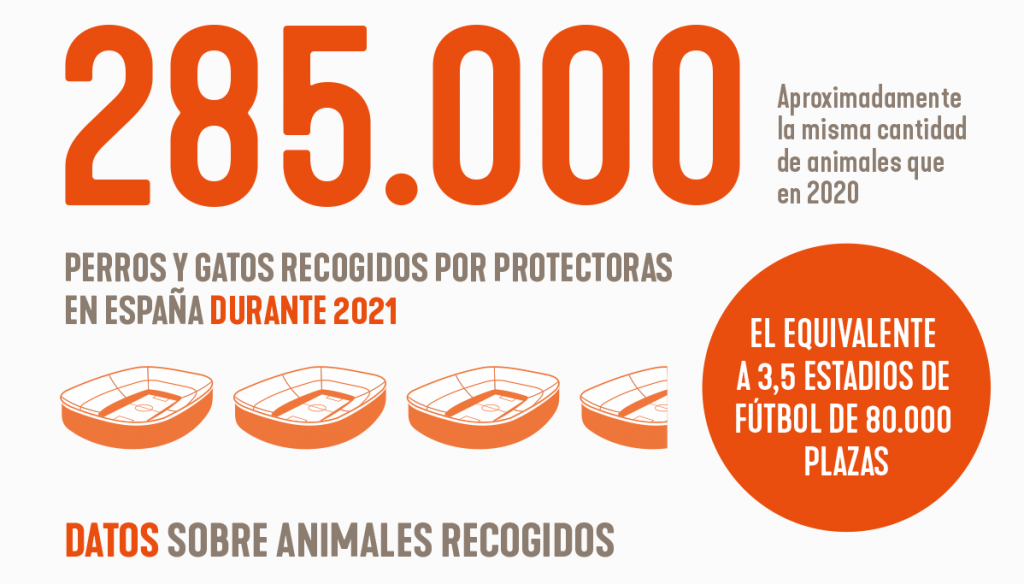 pantallazo datos abandonos